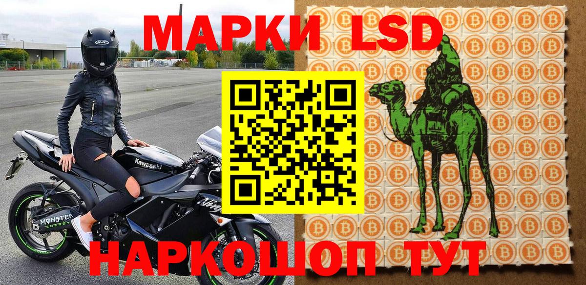 Новозыбков  Марки 25I-NBOMe 1500мкг  Наркотические марки  Вход с VPN 