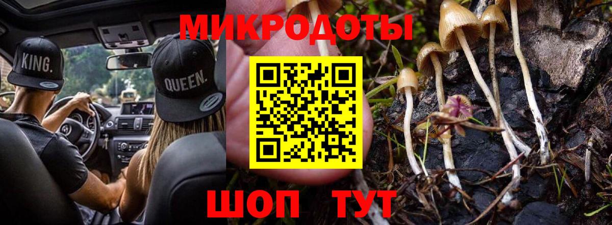 Новозыбков  Галлюциногенные грибы Psilocybine cubensis  Вход с VPN  Галлюциногенные грибы мицелий 