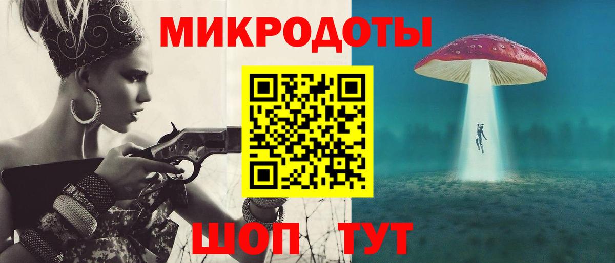 Псилоцибиновые грибы Psilocybe Новозыбков